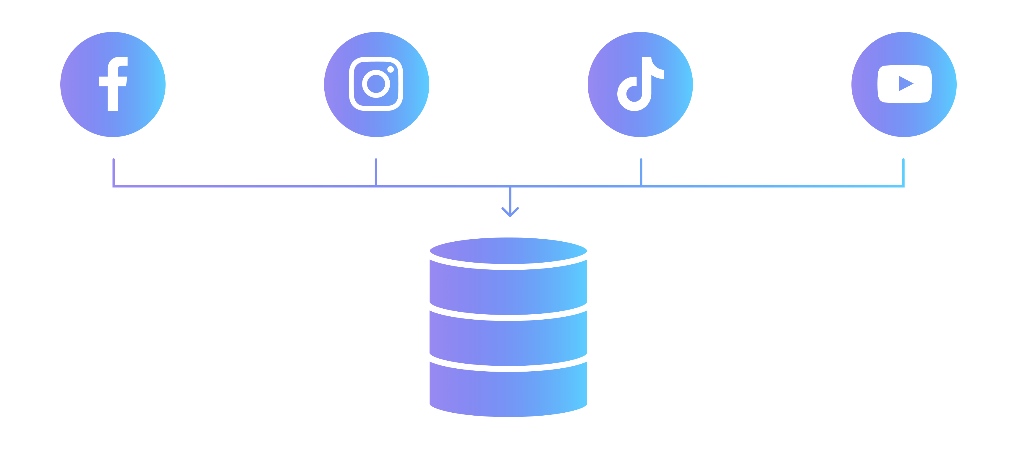 Icons von verschiedenen Social Media Plattformen, die alle in ein gemeinsames Data Warehouse führen.